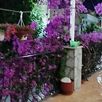 Elena Apartman Saranda